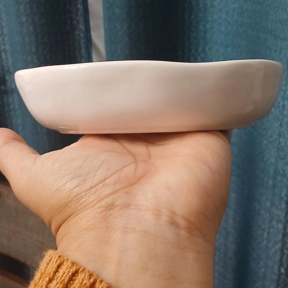 Rae Dunn White Ceramic Pet Bowl